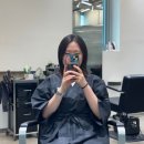 태림약품 | [단발 레이어드 펌] 시드더뷰티 - 단발 장인 태림 디자이너님 시술 후기(주차가능)