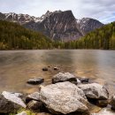 김천물소리생태숲_#2 이미지