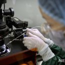 지엠피식당 이미지