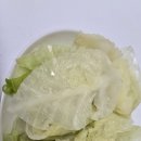 백곰 짐 이미지