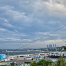 멍멍이컷 | [포항] 즉흥 당일치기 핫플 코스 | 구룡포 일본인가옥거리 멍멍이와 네컷사진 실패 후기