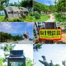 매미공원