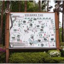 강원꽃식물원 이미지