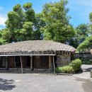 4색여행 이미지