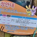 산토끼매점