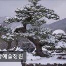 남원읍-113 | 제주도 유채꽃 여행 돌낭예술정원 제주도 유채꽃 여행의 명소