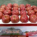햇빛농원