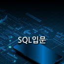 데이터베이스 SQL 입문활용 이미지
