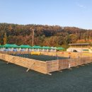 아트펫 갤러리 이미지