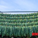 금소공동체 이미지