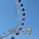 감자엄마 | 속초 당일치기 여행 코스! 뚜벅이 맛집 투어부터 (술빵, 옹심이, 감자전 솔직 후기)