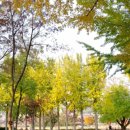 태화강 철새공원 이미지