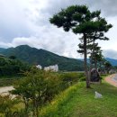 지리산약초장어 산청 장어맛집 내돈내산 방문후기