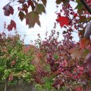 우리농원 이미지