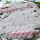 바다회천국 이미지