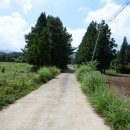 내도동 방사탑 이미지