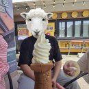 국보목장 이미지