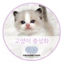 어울림동물메디컬센터 이미지