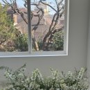 주은에너지 | W15.로즈앤모어 플라워디렉팅 촬영후기 | 짝꿍코드 O 플라워디렉팅 시안ppt 공유