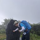 비가오니 운치있고 ~ 이미지
