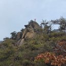 장군부페 이미지