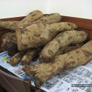 청솔한식뷔페 이미지