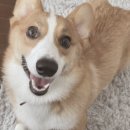 연은동물병원 이미지