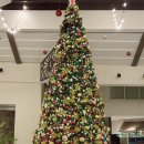 라비네일 이미지