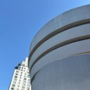 21세기 세탁 | 40년지기 친구와의 꿈같은 New York 아트 세미나 21편. 5일차 솔로몬 R. 구겐하임 미술관(Solomon R...