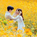 아름다운 사람들 이미지