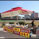 송지송호초교 이미지