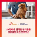 수원 스카이 동물메디컬센터 이미지