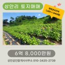 상안공인중개사사무소 이미지
