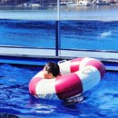 산토스 풀빌라 이미지