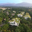 돌담펫호텔 | 독채 감성에 자쿠지까지, 제주 가족여행 숙소 엠버퓨어힐 단독 특가