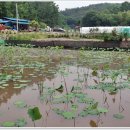 첫골농장 이미지