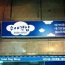 수애견 이미지