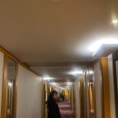 키작녀 겨울 아우터 내돈내산 후기 | 주크 롱패딩, 로엠 롱코트, 에잇세컨즈 퍼자켓