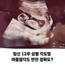 임신 12주 성별 각도법 아들 딸 각도 반전 정확도 (ft.남매맘)