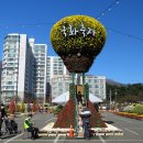 (국화축제)통도사 양산국화전시회(2020.10.25) 이미지