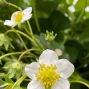 하늘농장6 이미지