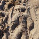 청운(용두)시외버스터미널 이미지