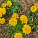 신라대학교박물관 이미지