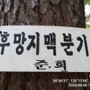 후망 이미지
