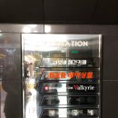 마오네애견카페 이미지