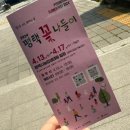 경기도 아이랑 피크닉, &#34;평택농업생태원&#34; 꽃축제 (먹이주기체험, 놀이터, 배달음식)