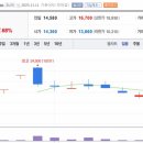 미르메딕스 이미지