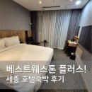 세종호텔 | 세종 호텔숙박 후기 | 베스트웨스턴호텔 플러스