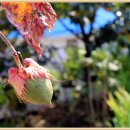 금강변길 이미지