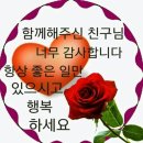 화투(花鬪) 이미지